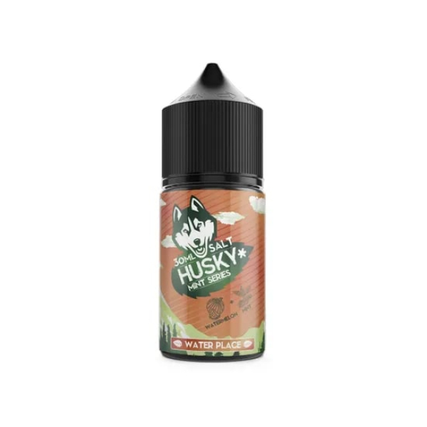 Жидкость Husky salt Mint series Water Place (Арбуз холодок) (30 мл, 20 мг/мл) в Сочи