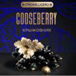 Табак Kraken Strong Gooseberry (Крыжовник) 100 гр