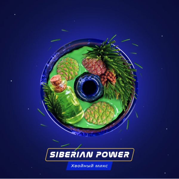 Паста Space Smoke BASIC Siberian Power (Хвоя Сосна Пихта) 30 гр в Сочи